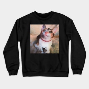 THE ADORABLE LOOK CAT Crewneck Sweatshirt